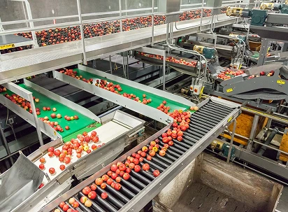 Food Processing Plants